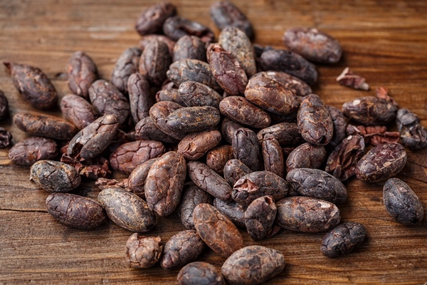 Kakaobohnen Rohstoff für die Herstellung von Schokolade